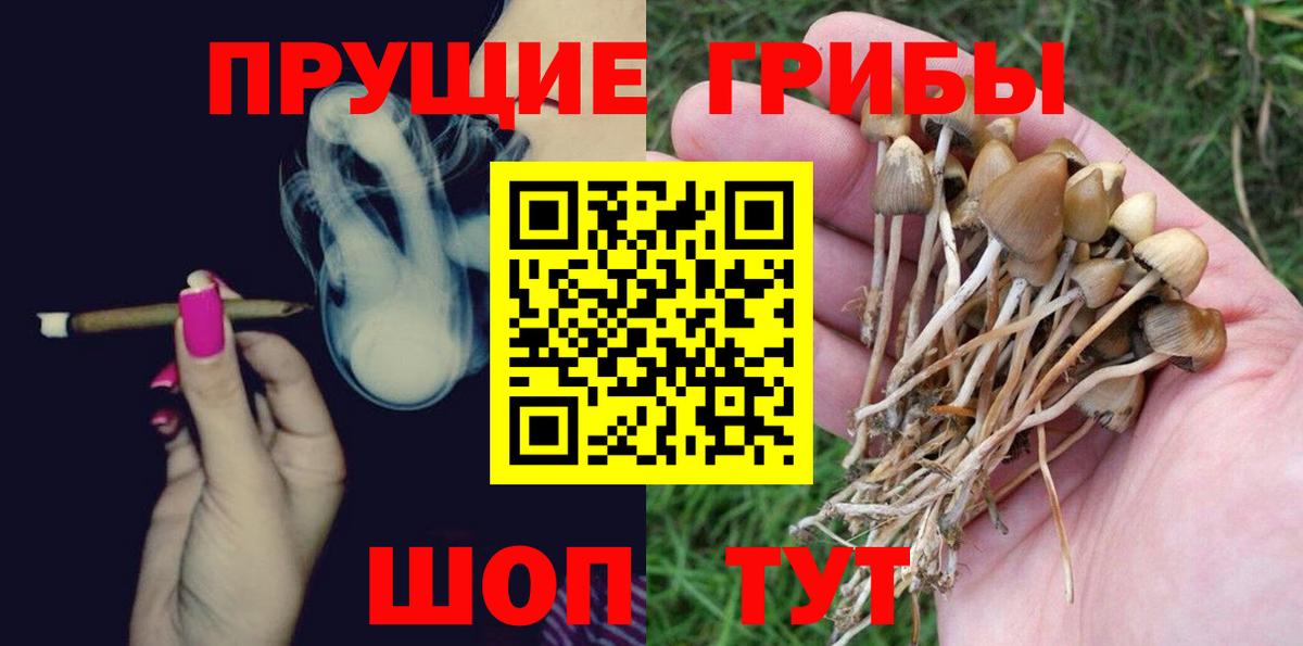 Псилоцибиновые грибы MAGIC MUSHROOMS Алексин