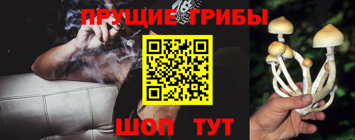 Псилоцибиновые грибы Psilocybe  Вход с VPN  Псилоцибиновые грибы MAGIC MUSHROOMS  Алексин 